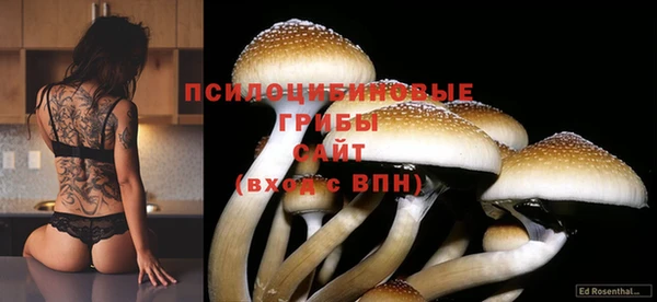 мдпв Михайловск