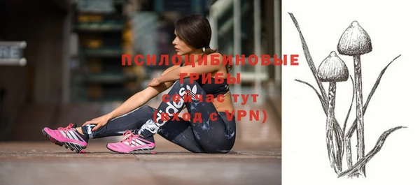 mdpv Михайлов